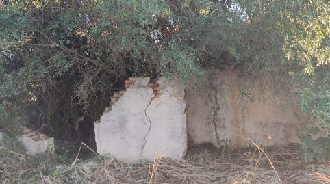 Foto 5 de Terreny en venda a Diseminado Pago Zorro, Roche, Conil de la Frontera