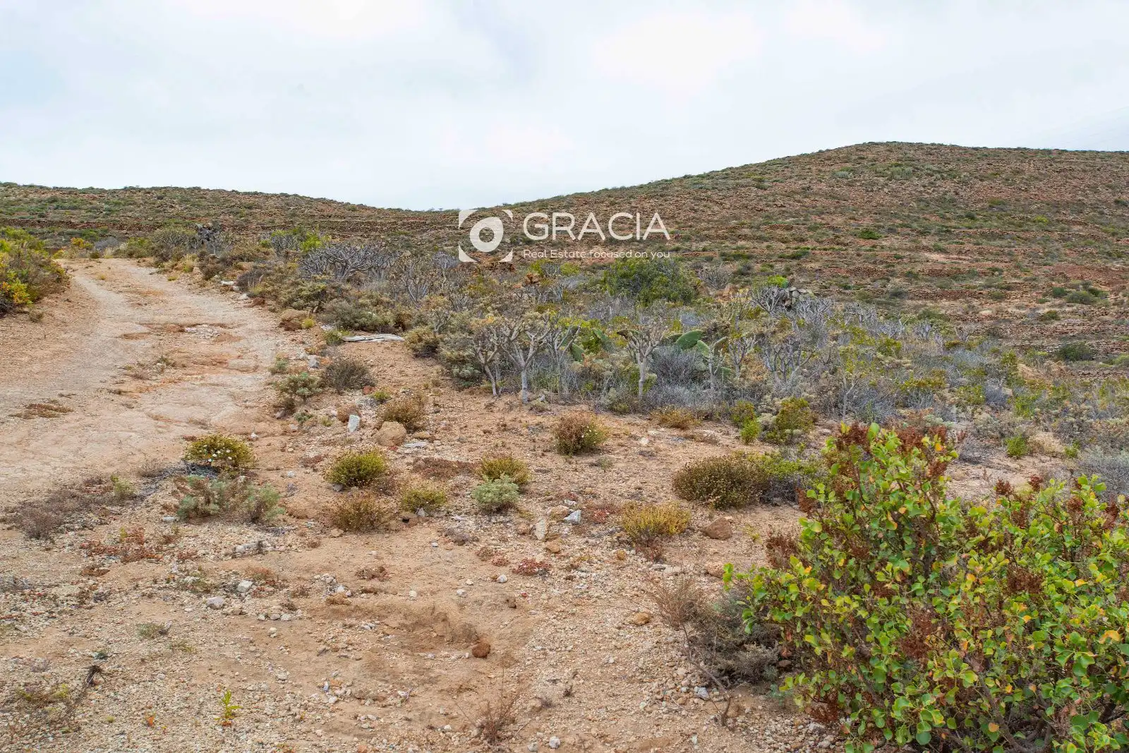 Terreno rustico in vendita a tf629, imagen 15