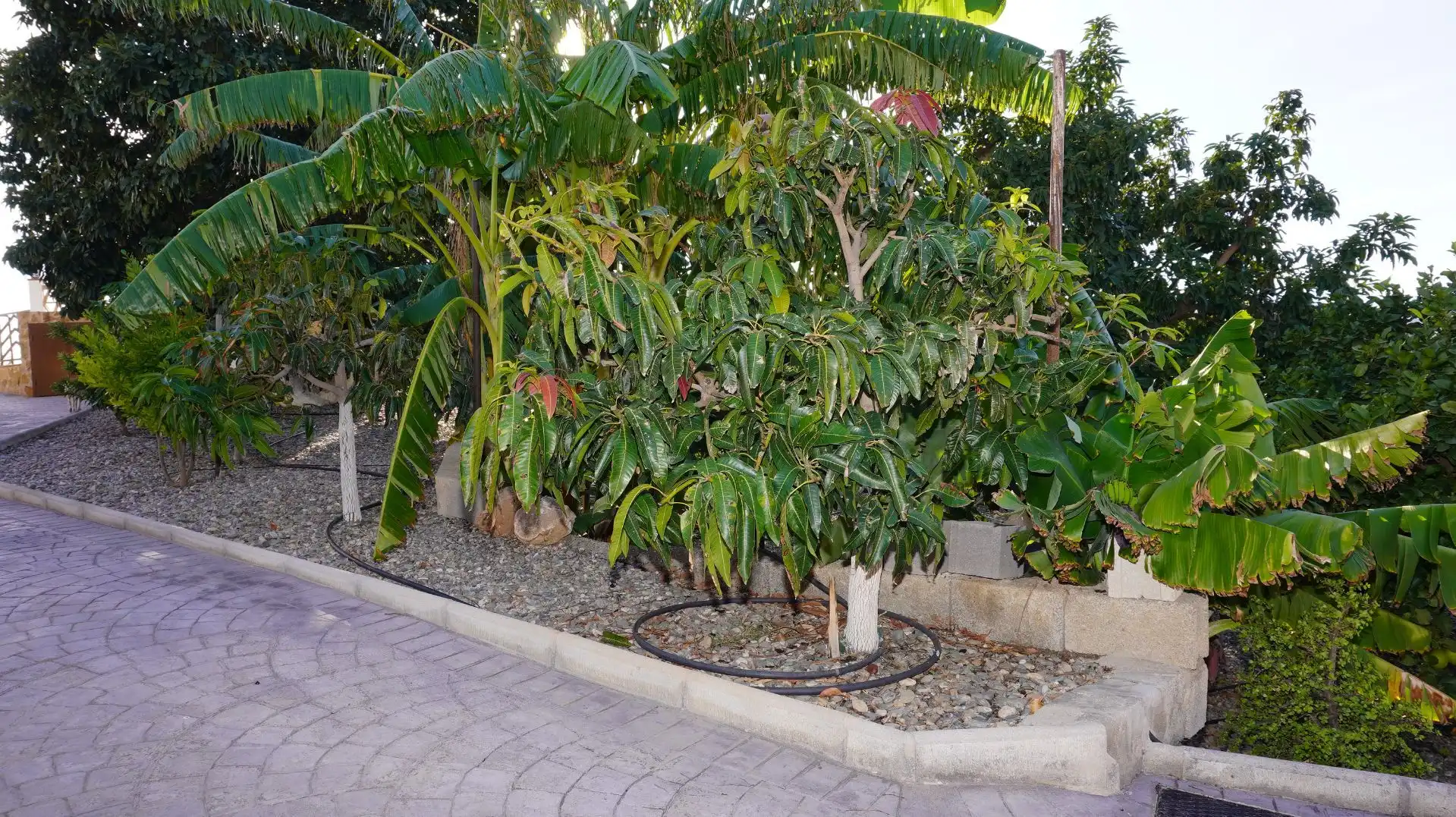 Jardí de Finca rústica en venda en Motril amb Aire condicionat, Terrassa i Traster