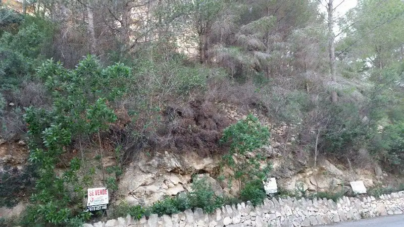 Terreny residencial en venda a Zona Pueblo, imagen 5