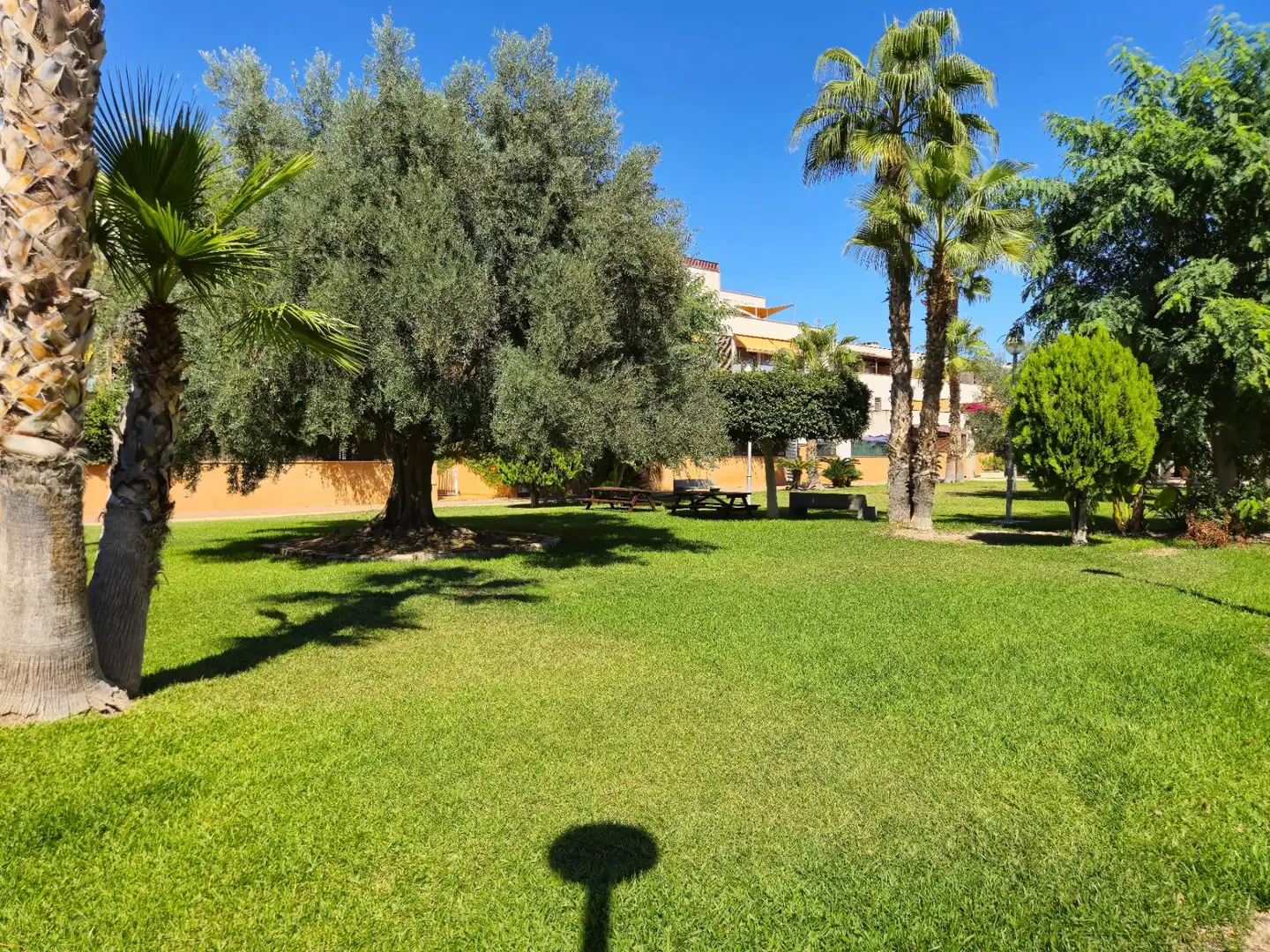 Maison mitoyenne avec piscine à vendre à CONRADO ALBALADEJO, imagen 66