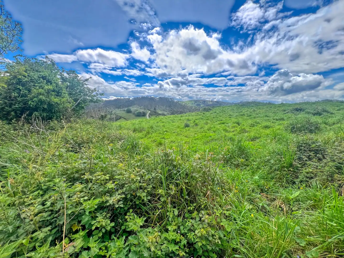 Lands and plots for sale in Pillarno, imagen 13