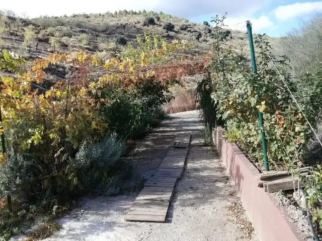 Garten von Residential zum Verkauf in Abrucena
