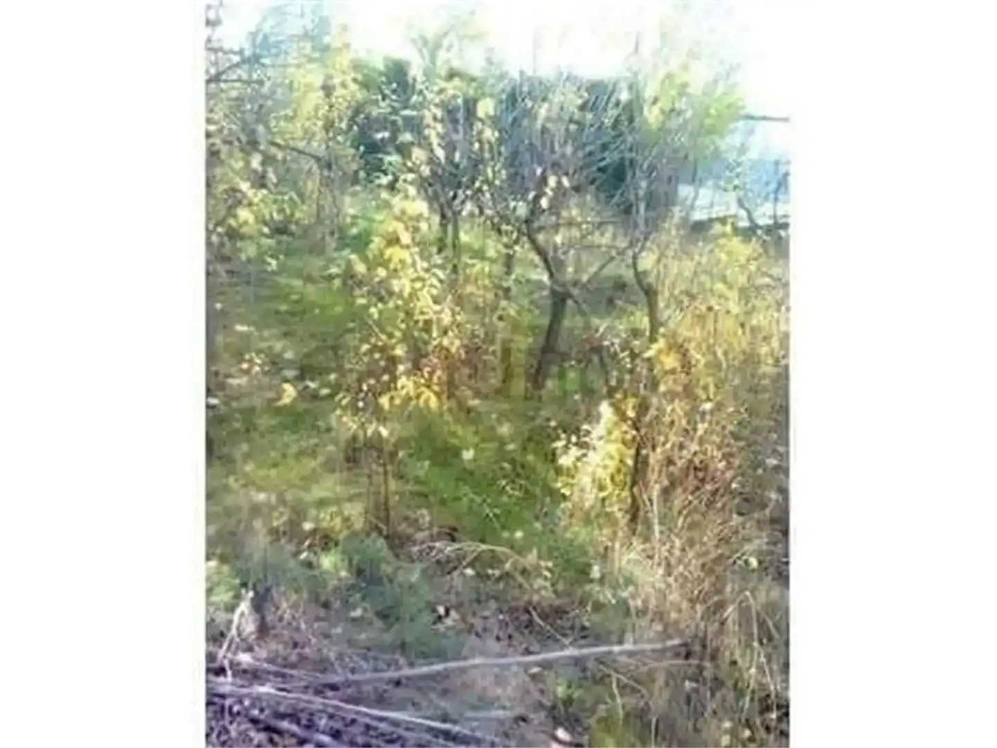 Finca rústica en venta en Alfacar