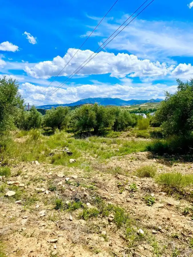 Terrenos y solares en venta en Vélez-Blanco, imagen 2
