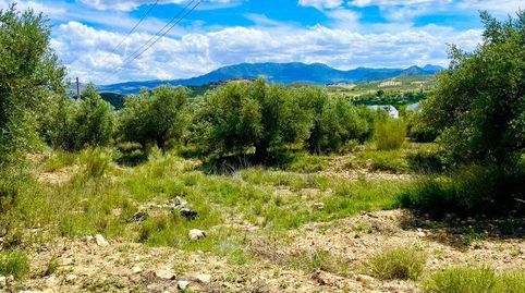 Terreno Rústico en venta en VélezBlanco., immagine 2