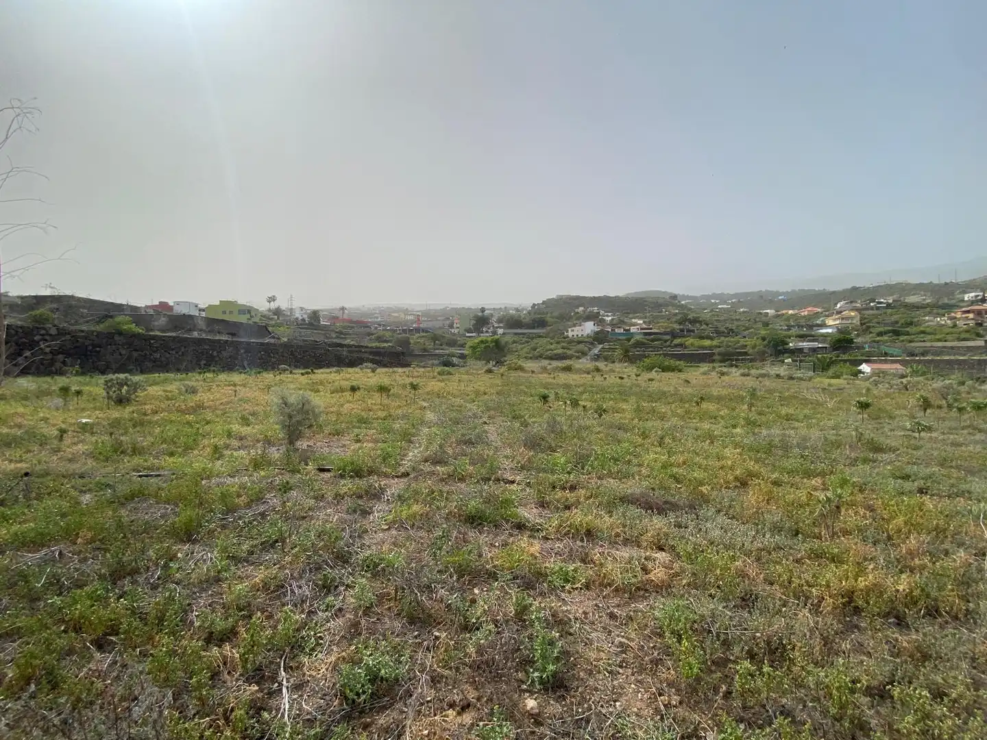 Rural land for sale in Calle la Yedra 59, imagen 14