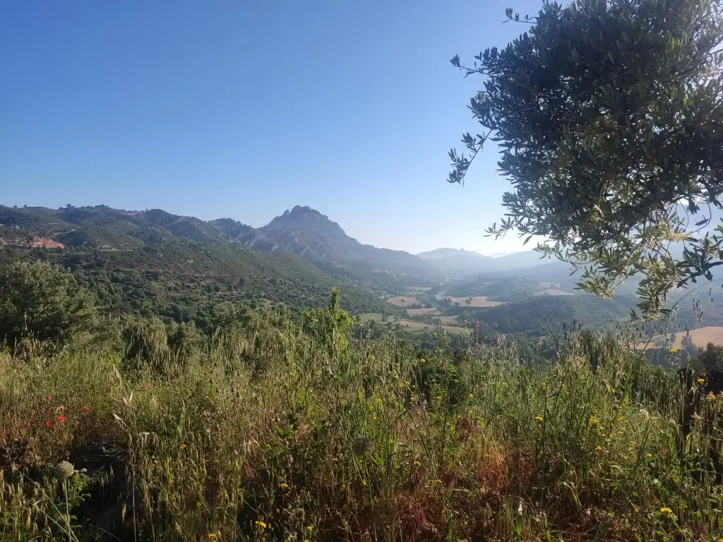 Rural land for sale in Horta de Sant Joan, imagen 9