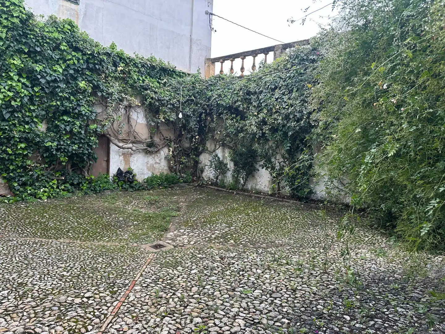 Garten von Grundstücke zum Verkauf in Agullent
