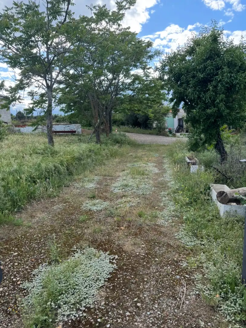 Finca rústica en venta en El Molar (Madrid) con Jardín privado, Terraza y Trastero