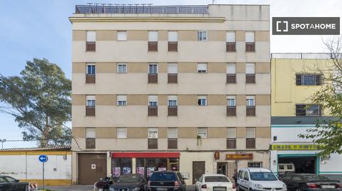 Photo 3 of Apartment to share in Pino Montano - Consolación, Sevilla