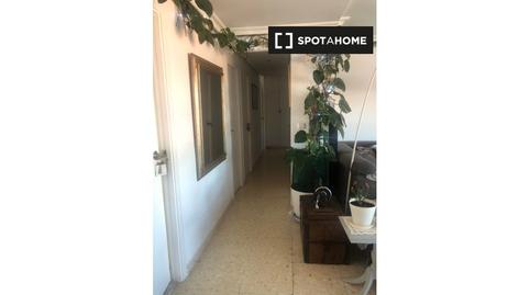 Foto 5 de Pis per a compartir a Goteta, Alicante / Alacant