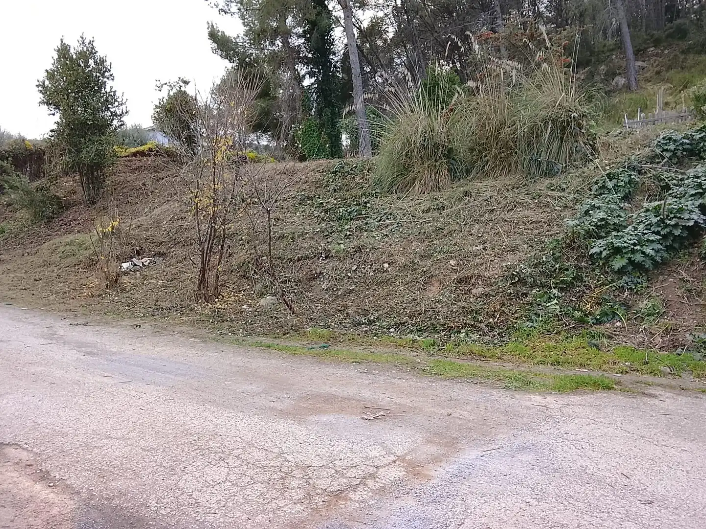 Terrain rustique à vendre à Puig Moltó - Can Macià, imagen 15