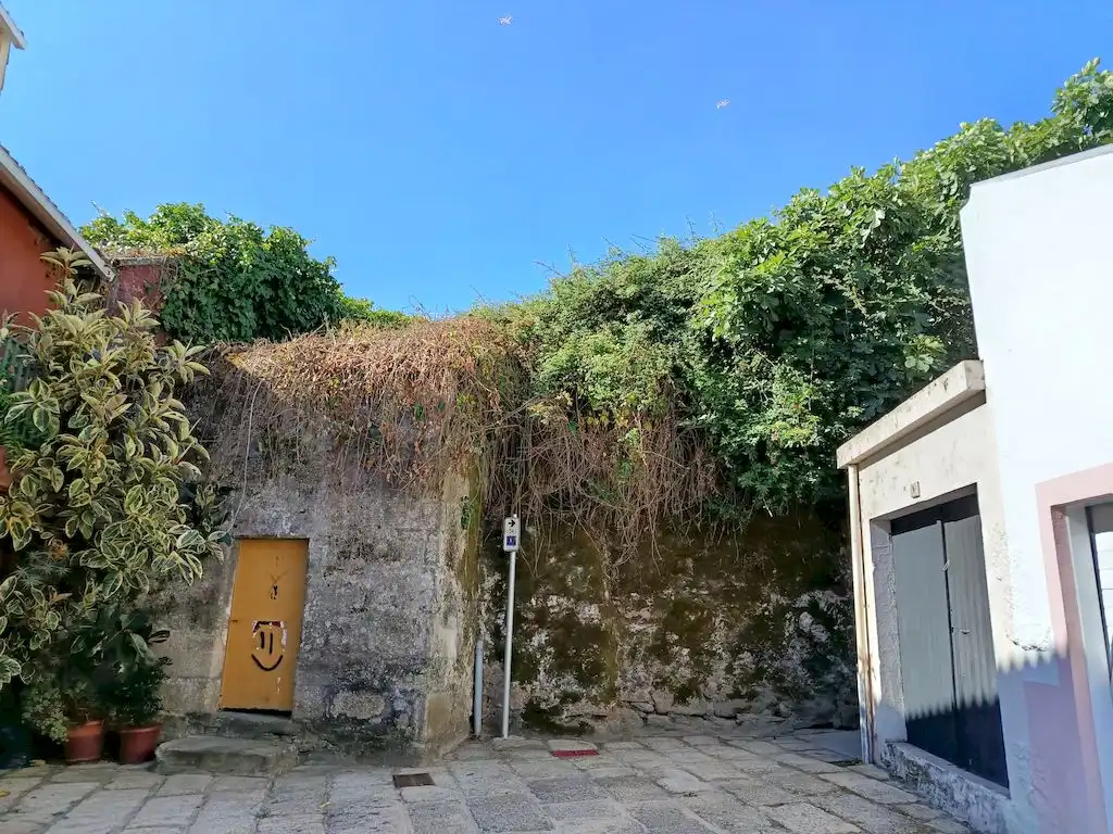 Exterior view of Country homes for sale in Ribeira  with Private garden