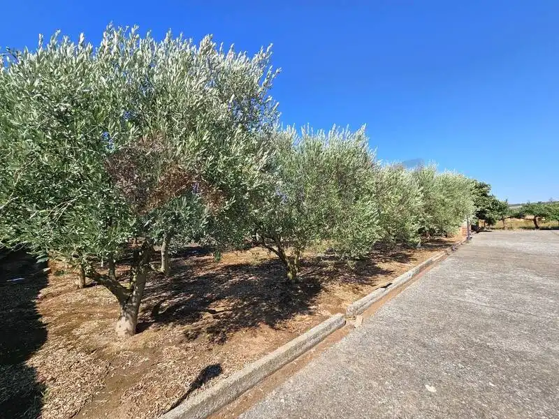 Xalet amb jardí en venda a N-111, imagen 42