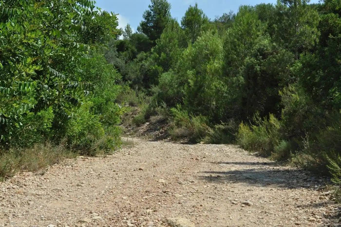 Land for sale in Camí del Barranc de la Llet, 26, Sant Llàtzer