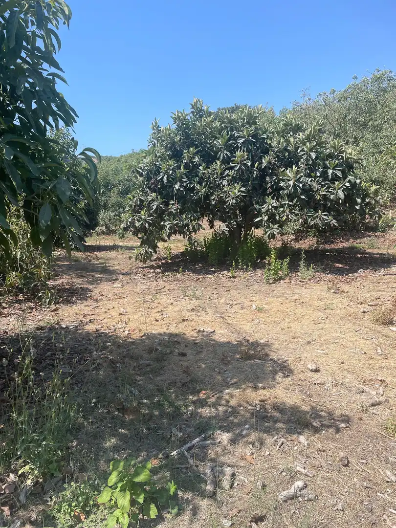 Terreni e lotti in vendita a Coín, imagen 22