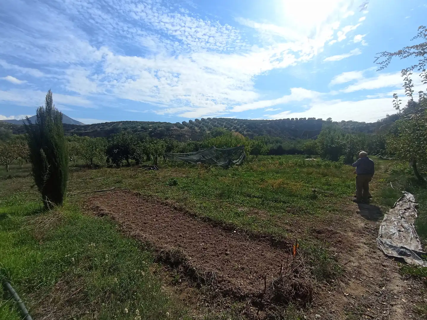 Finca rústica en venda en Alcaudete