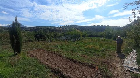 Foto 4 von Country house zum Verkauf in N/a, -1, Alcaudete, Jaén