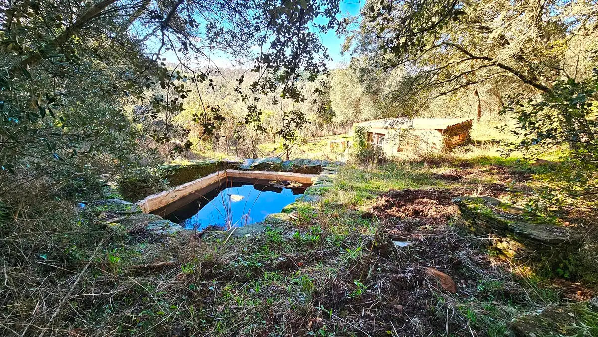 Piscina de Casa o xalet en venda en Los Marines amb Jardí privat, Terrassa i Traster