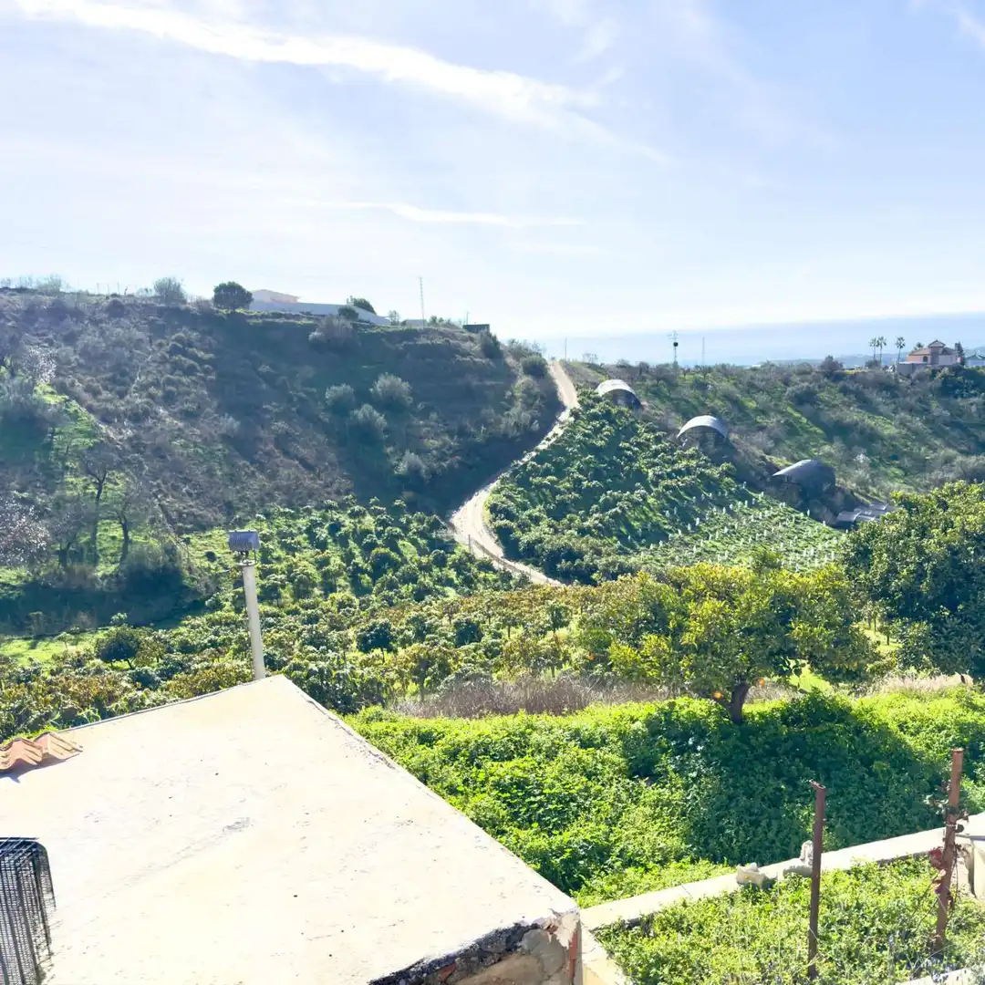 Vista exterior de Finca rústica en venda en Vélez-Málaga amb Moblat