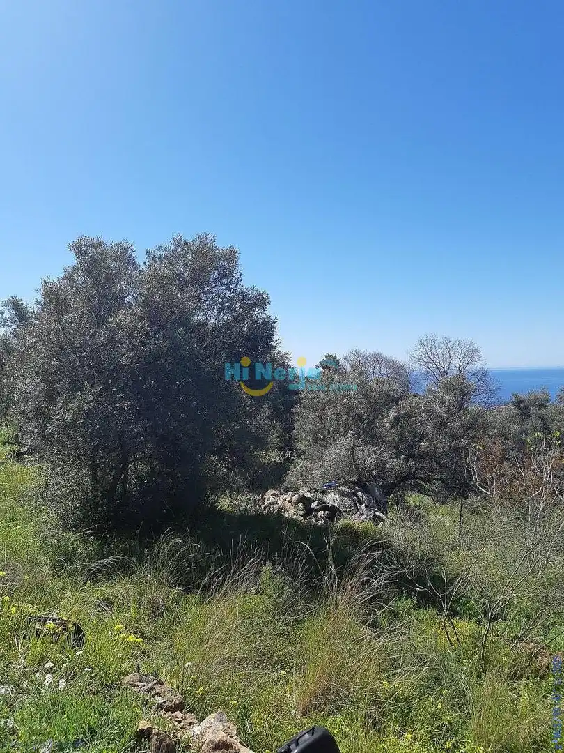 Terreni e lotti in vendita a Torrox Pueblo, imagen 14