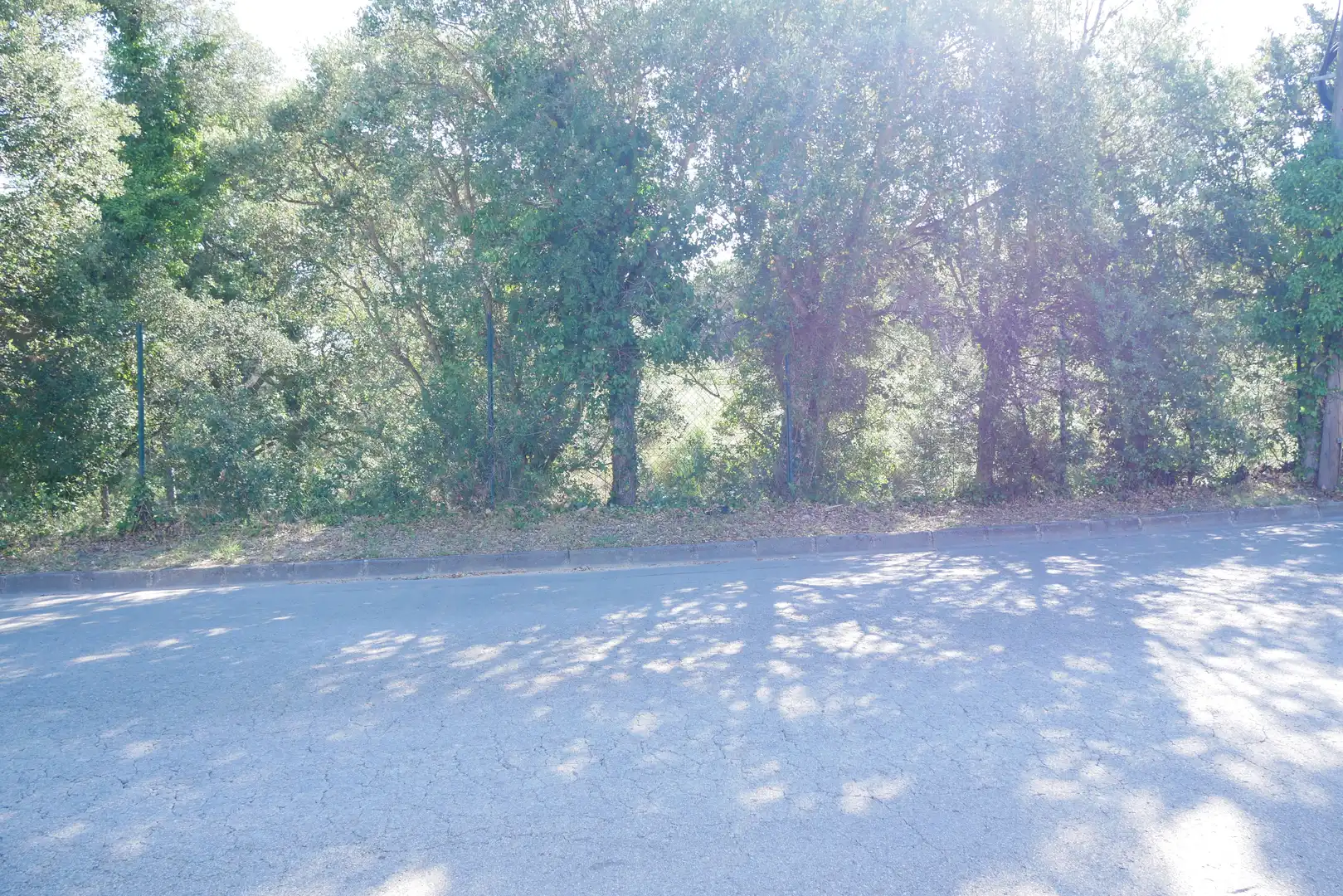 Terrain rustique à vendre à Carrer de Ulises 94, imagen 9