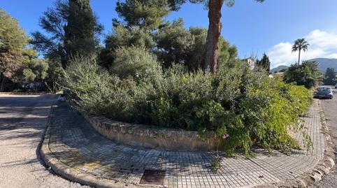 Photo 3 of Land for sale in Bacarés - Manresa  - Bonaire, Illes Balears