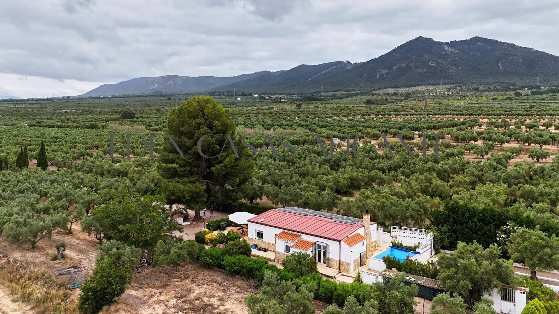Jardín de Casa o chalet en venta en Biar con Aire acondicionado, Calefacción y Jardín privado