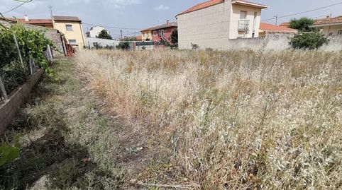 Terreno totalmente plano, ideal para construir casa unifamiliar, en Patones, imatge 4
