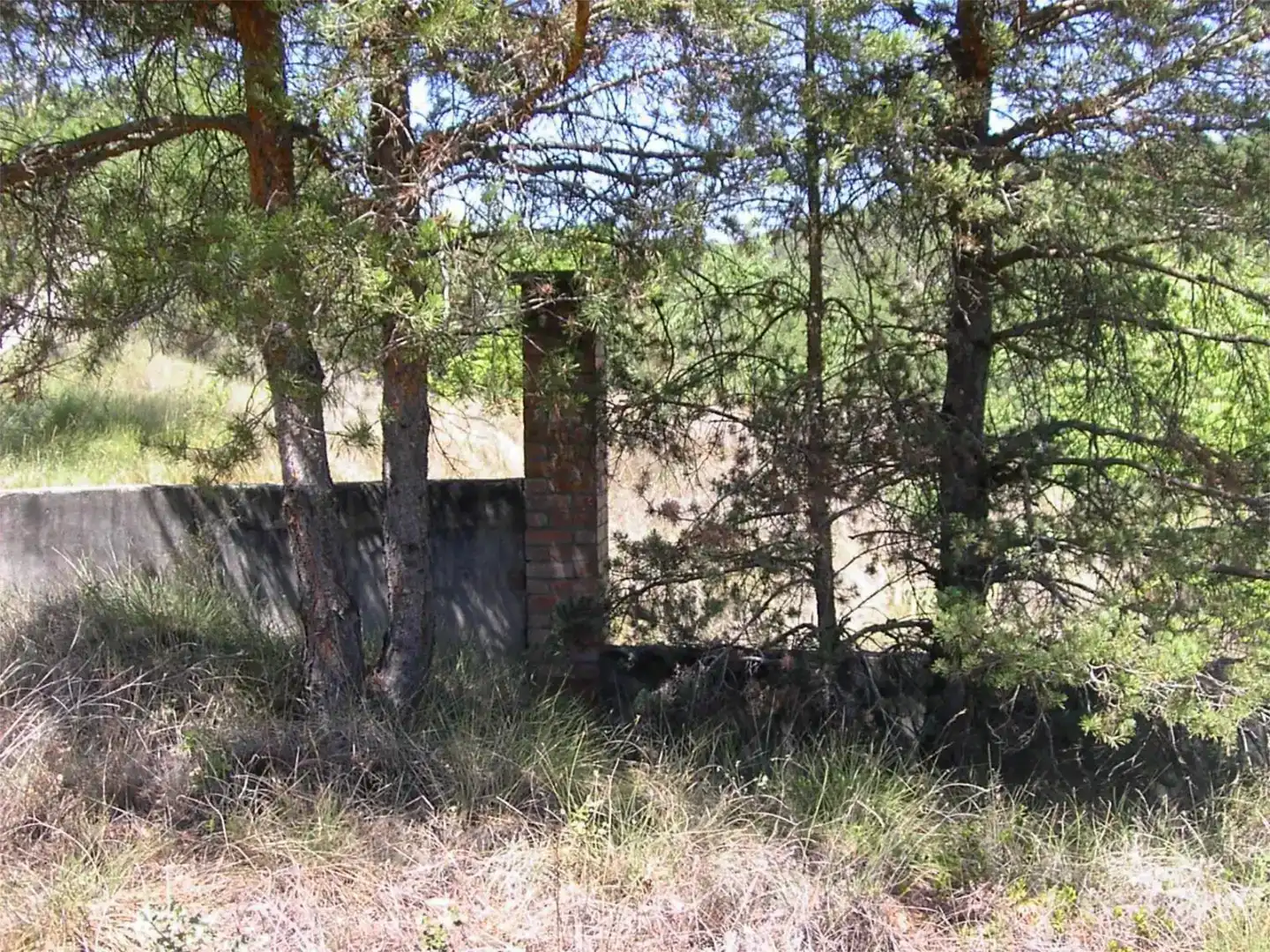 Terreno en venta en La Puebla de Castro