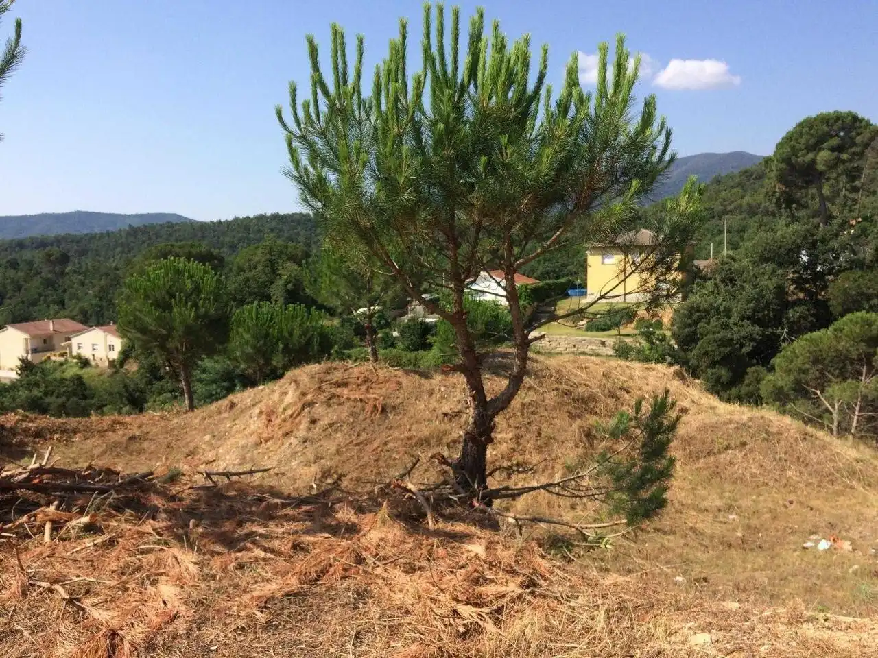 Grundstücke und Bauplätze zum Verkauf in Calle MALGRAT DE MAR (AGORA PAR 22, imagen 5