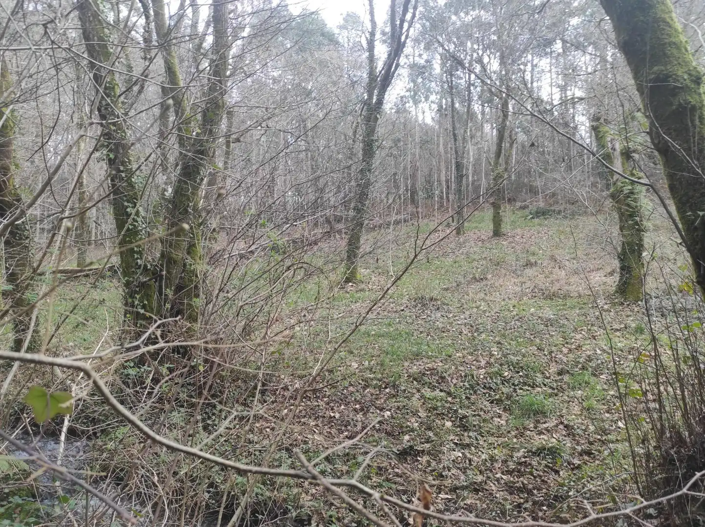 Terreni e lotti in vendita a Lugar PINAR DE ABAIXO., imagen 8