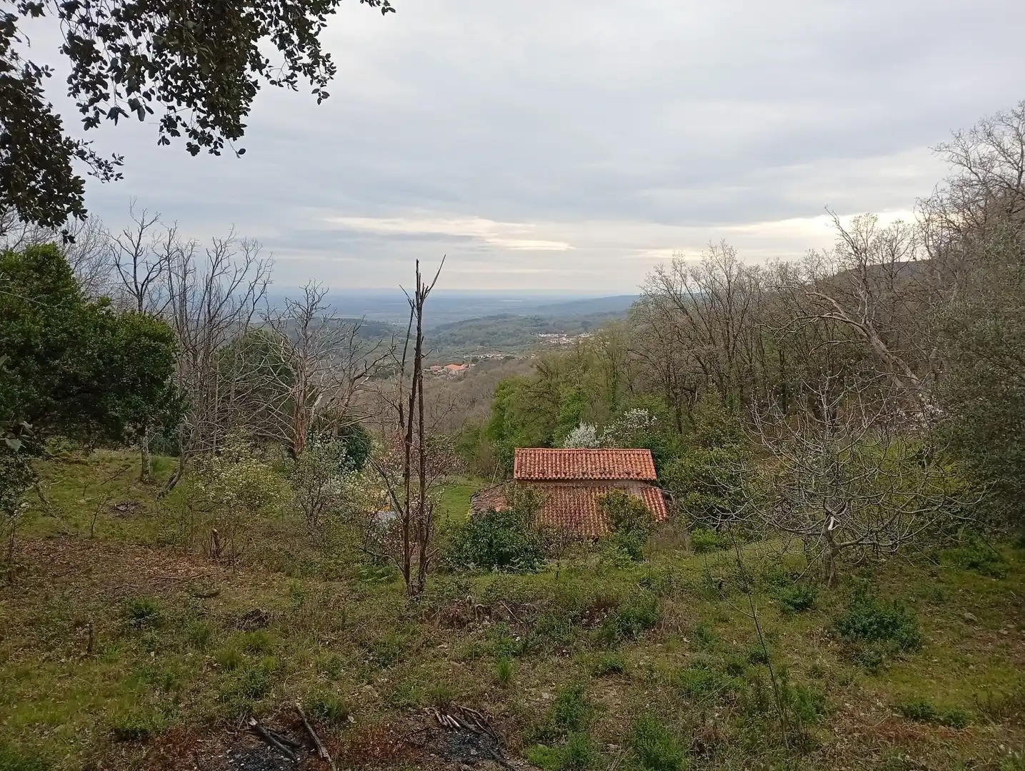 Terreni e lotti in vendita a Valverde de la Vera, imagen 46