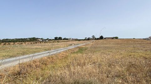 Foto 5 de Finca rústica en venta en Núcleo urbano, Aljaraque