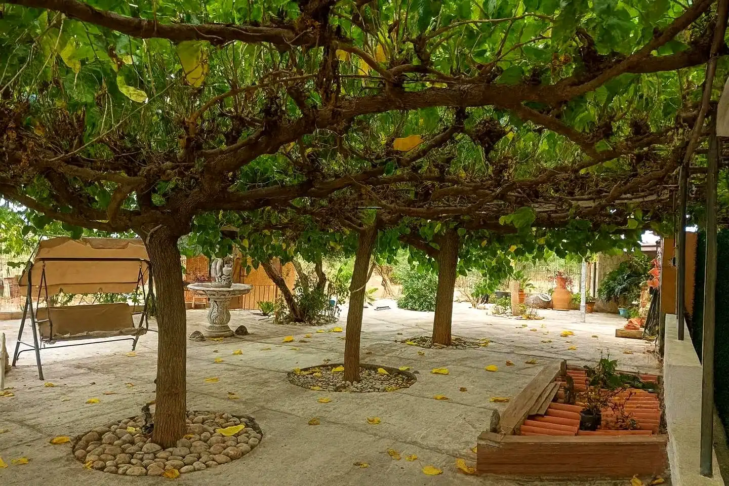 Garden of Houses for sale in Xerta  with Swimming Pool