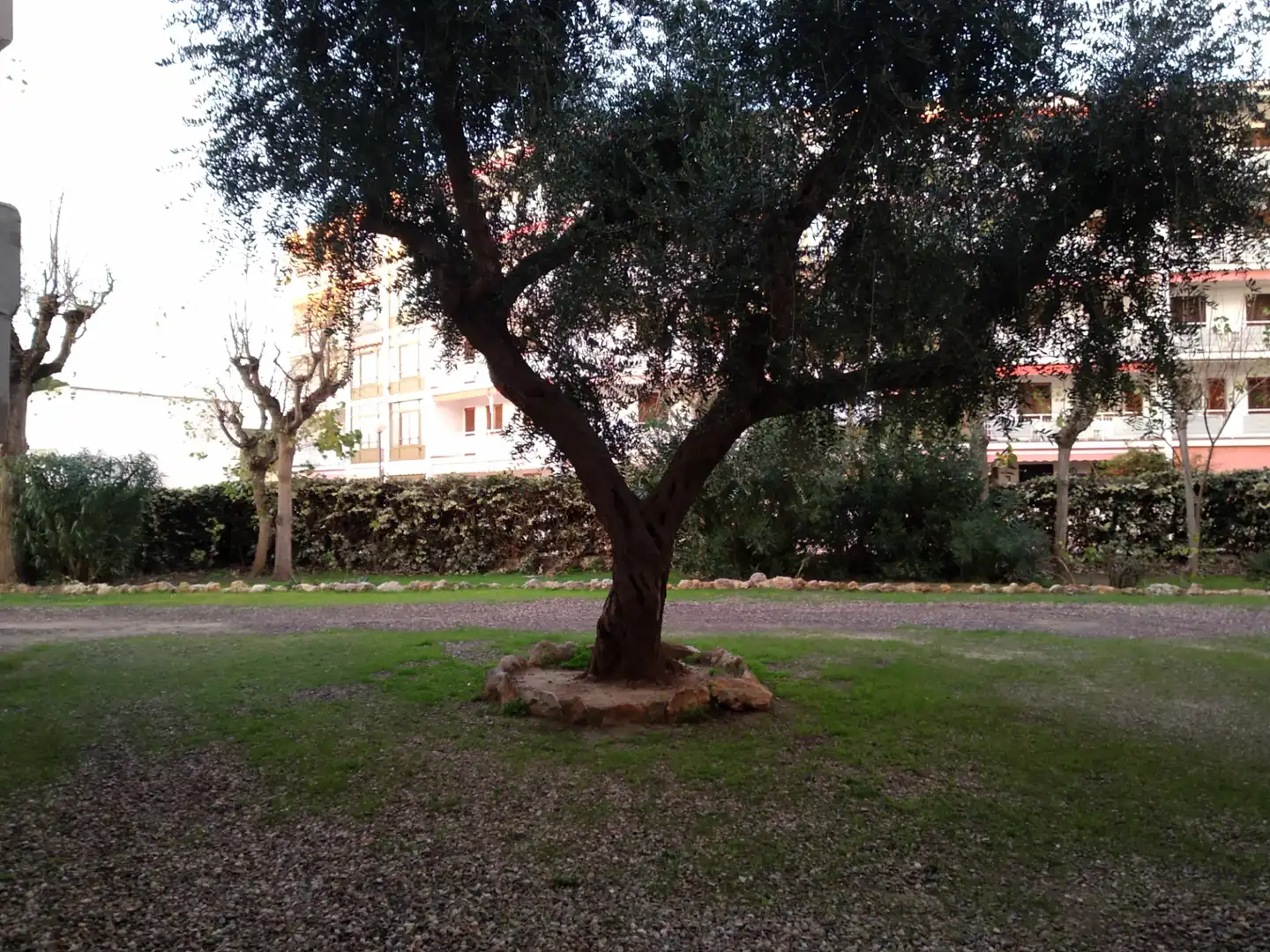 Garden of Apartments for sale in El Vendrell  with Terrace, Oven and Washing machine
