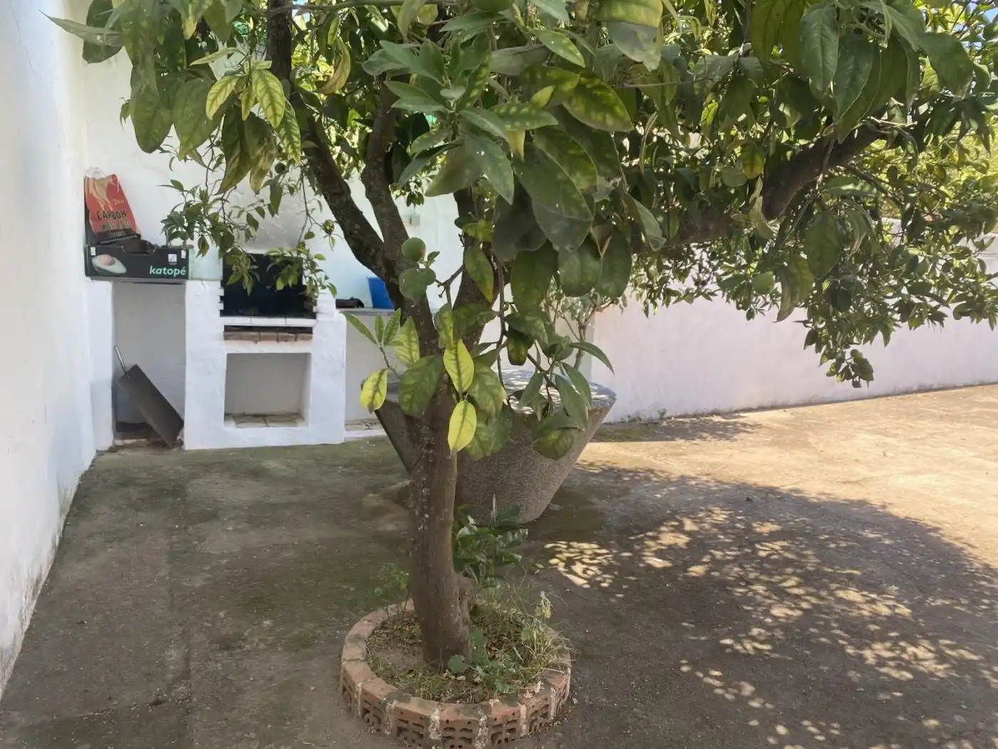 Jardí de Casa o xalet en venda en El Pedroso amb Terrassa, Traster i Balcó