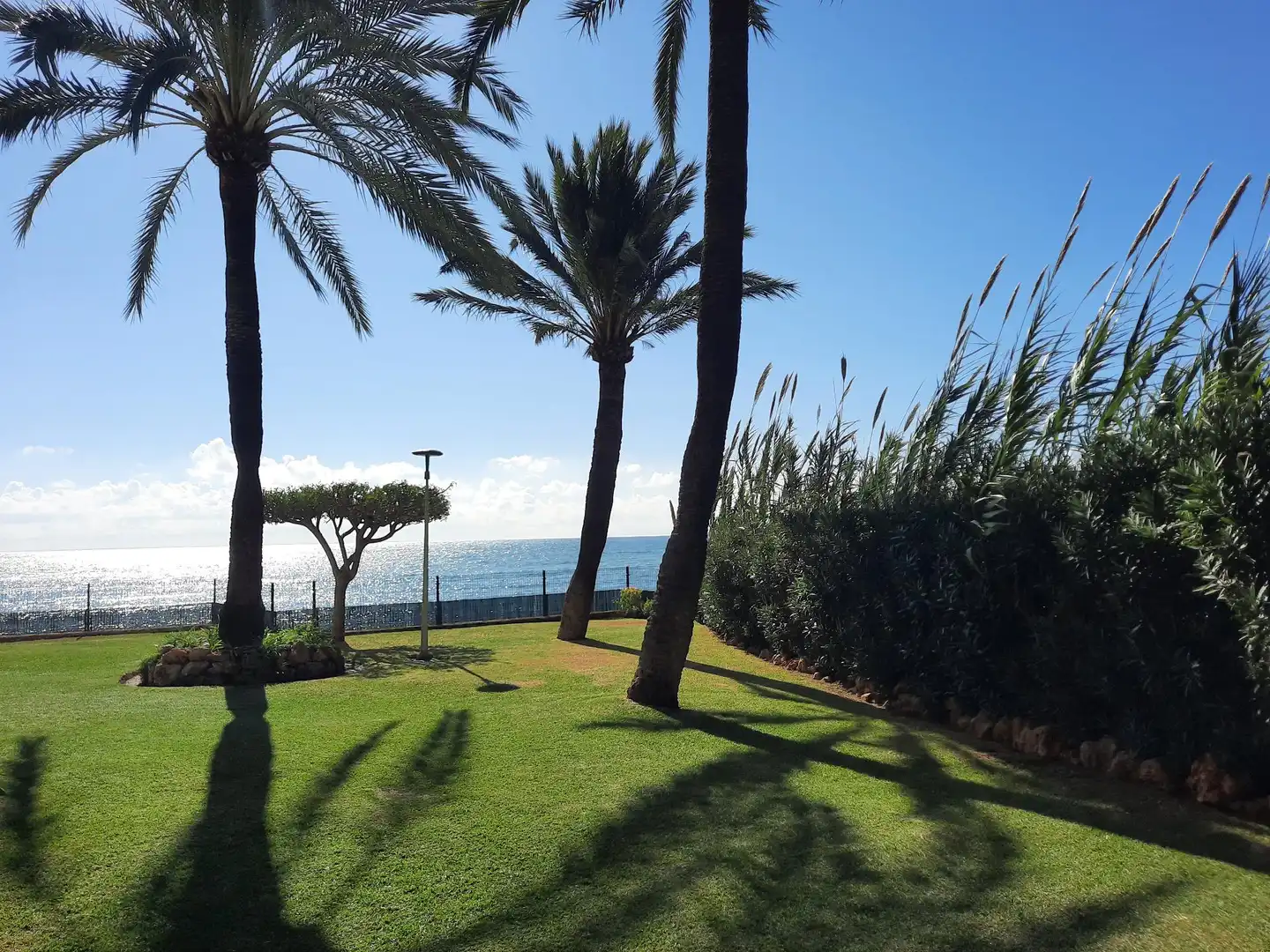 Apartament amb piscina en venda a Seghers, imagen 16