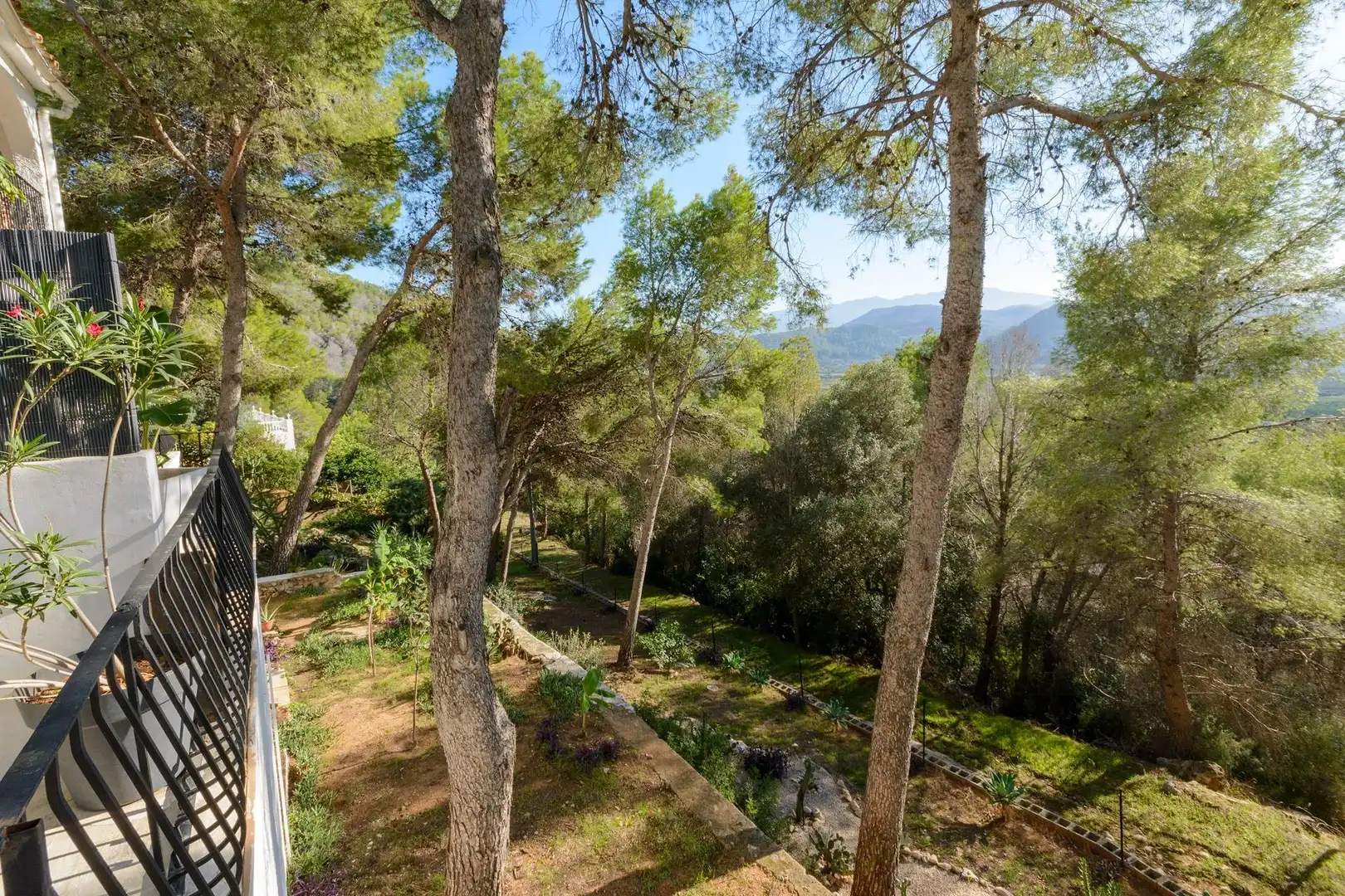 Jardín de Casa o chalet en venta en Gandia con Jardín privado, Terraza y Piscina