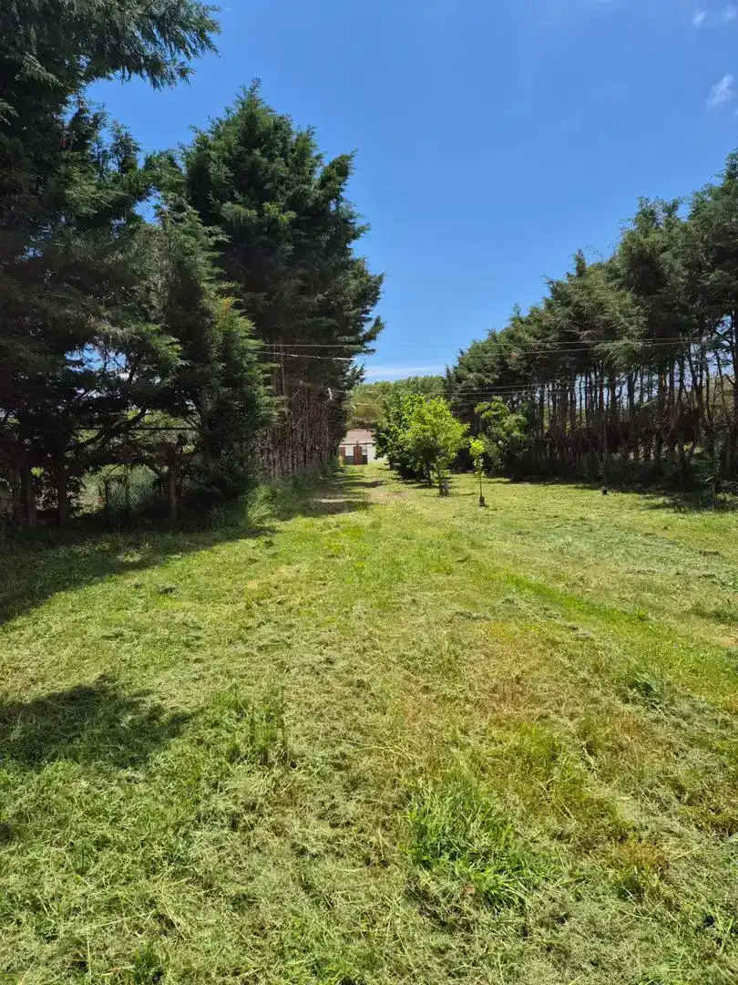 Finca rústica en venda en Cardeñajimeno