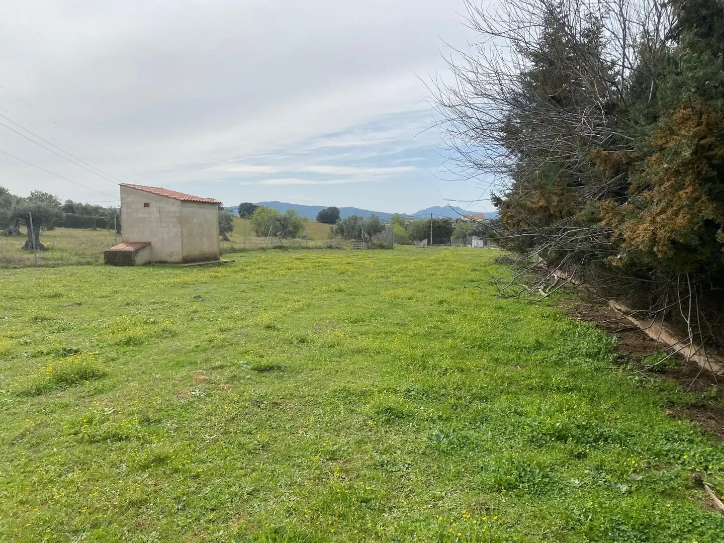 Terreni e lotti in vendita a Carretera de Don Álvaro, imagen 2