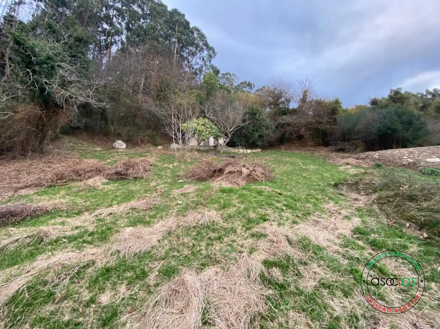 Terreno rustico in vendita a Gijón - BARRIO SAN PELAYO, imagen 16