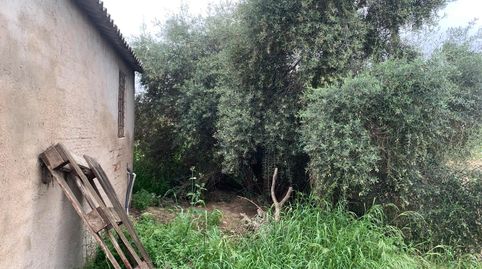 Foto 4 von Country house zum Verkauf in Alquerías, Murcia Capital