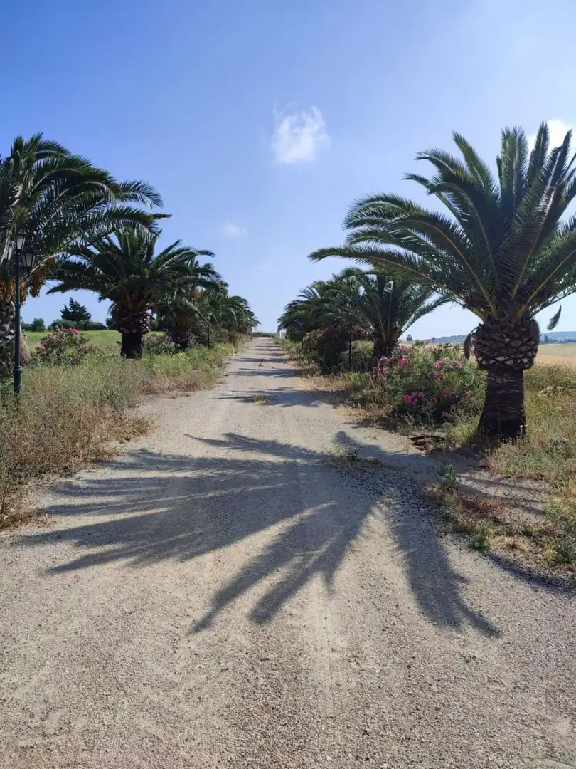 Terreno residencial en venta en Arcos de la Frontera