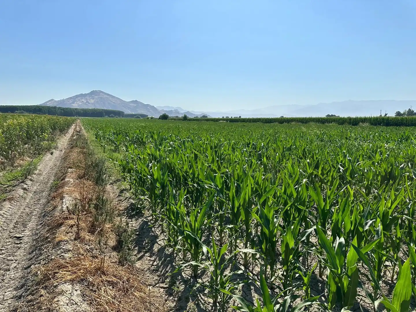 Grundstücke und Bauplätze zum Verkauf in Fuente Vaqueros, imagen 2