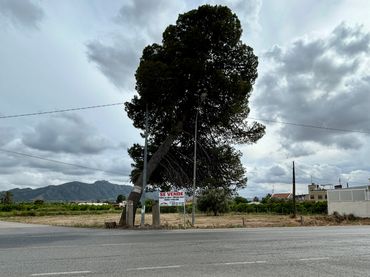 Terreno residencial en venta en Carretera de Beniajan Km. 4
