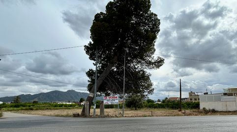 Foto 2 de Residencial en venta en Carretera de Beniajan, Km. 4, Beniaján, Murcia Capital