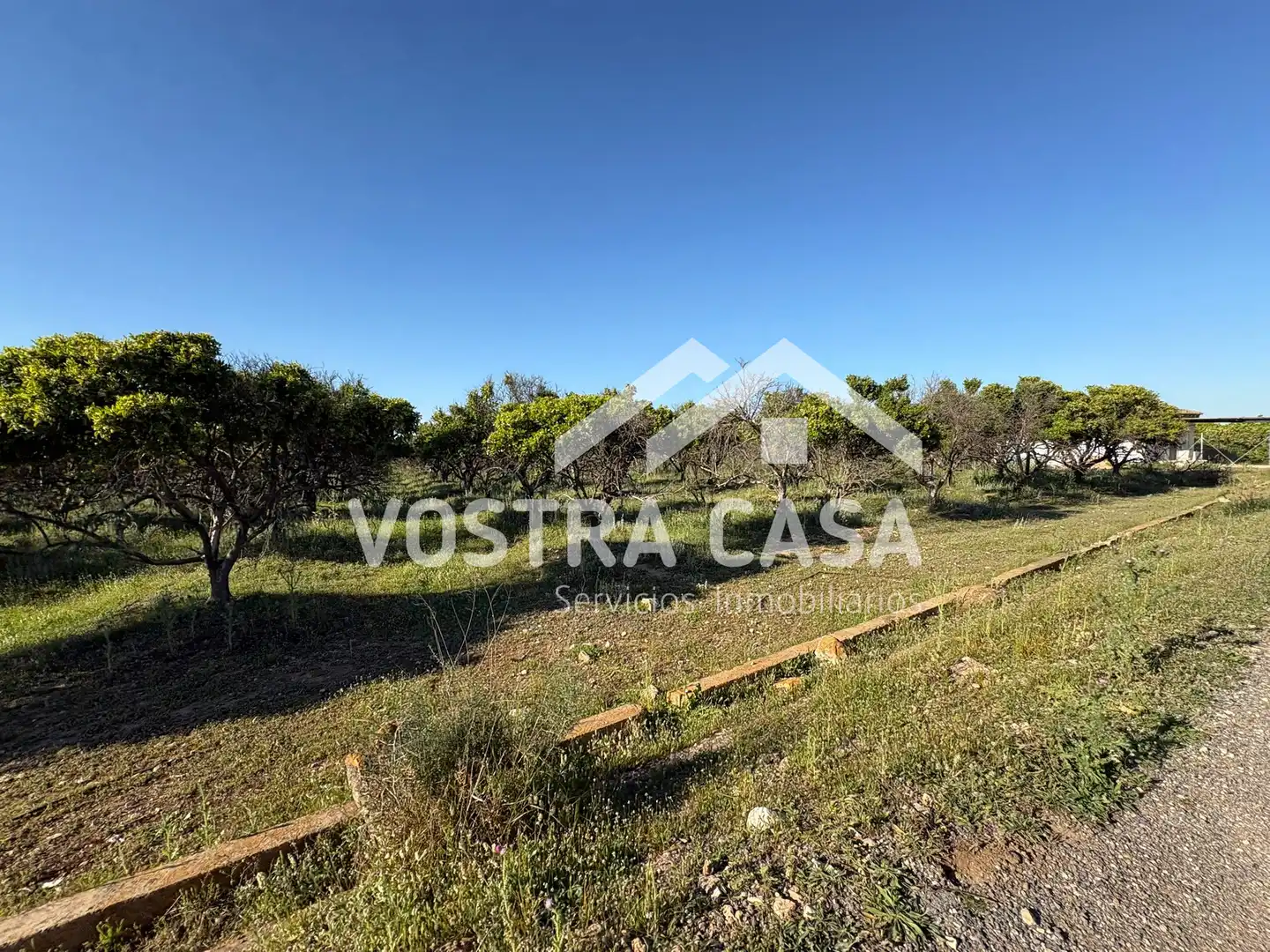 Land for sale in Chiva