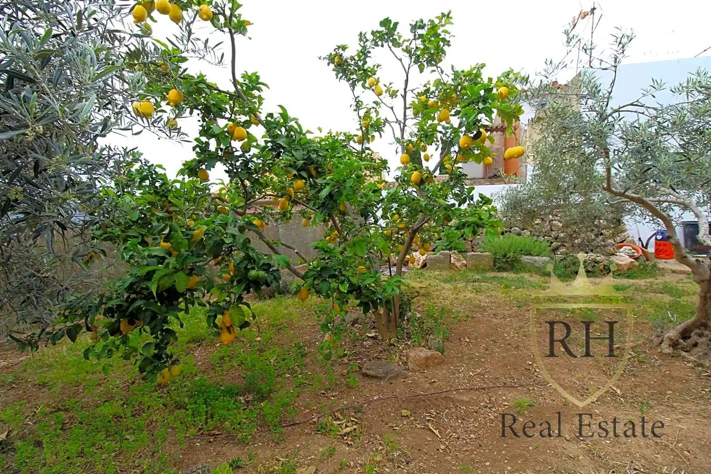 Casa o xalet en venda en Pollença amb Aire condicionat, Jardí privat i Terrassa